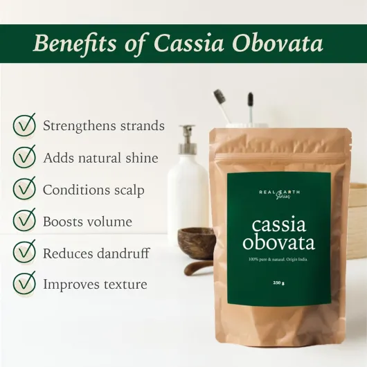 71O2WQPdN7L._AC_SL1500_