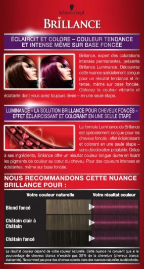 Brillance - Coloration Cheveux Permanente Intense - Eclat Diamant - Couverture Parfaite des Cheveux Blancs - Masque Soin Fixateur de Couleur - Ultra Violet 860 Ultra Violet 860 1 unité (Lot de 1)