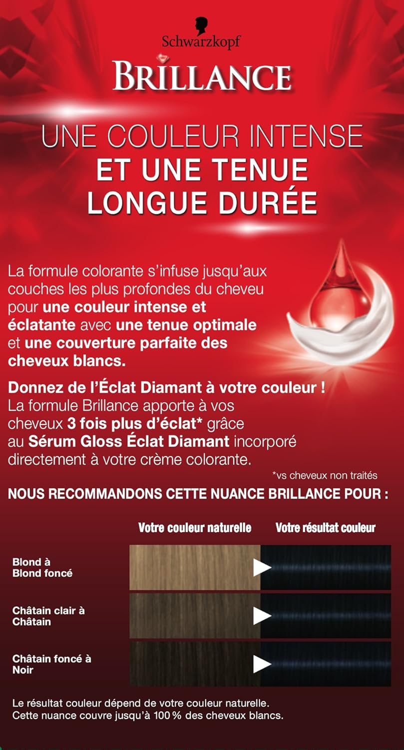 Brillance - Coloration Cheveux Permanente Intense - Brillance Eclat Diamant - Couvre 100% des Cheveux Blancs - Masque Soin Fixateur de Couleur - Noir Bleuté 891 (Lot de 2)