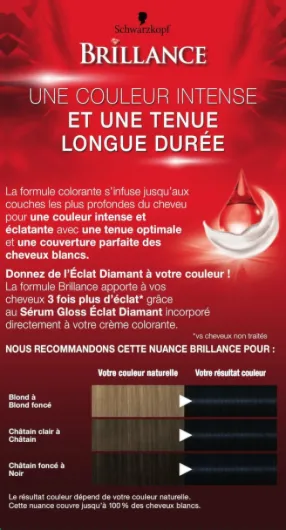 Brillance - Coloration Cheveux Permanente Intense - Brillance Eclat Diamant - Couvre 100% des Cheveux Blancs - Masque Soin Fixateur de Couleur - Noir Bleuté 891 (Lot de 2)