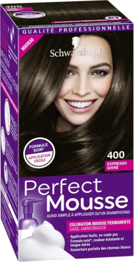 Perfect Mousse - Coloration Permanente Cheveux - Expresso Givré 400 - Lot de 3