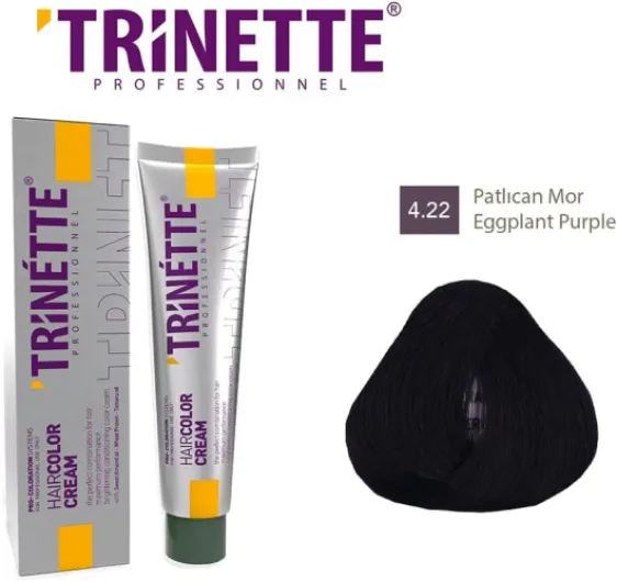 Professionnelle No 4.22 Violet Aubergine Permanente Crème Colorante 100 ml – Tons Violets Intenses, Reflets Pourpre Profonds, Haute Couvrance, Qualité Salon Longue Durée 4.22 Eggplant Purple